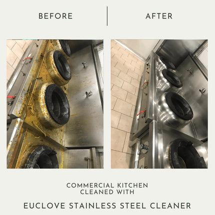 Euclove All Natural Stainless Steel Cleaner Pico X