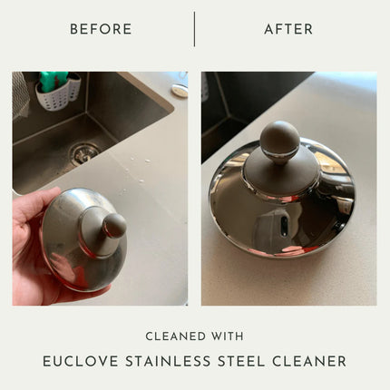 Euclove All Natural Stainless Steel Cleaner Pico X