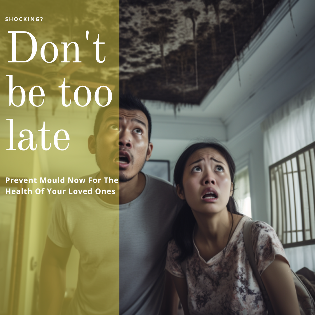 Protect your health with Pico X Mould Prevention Service