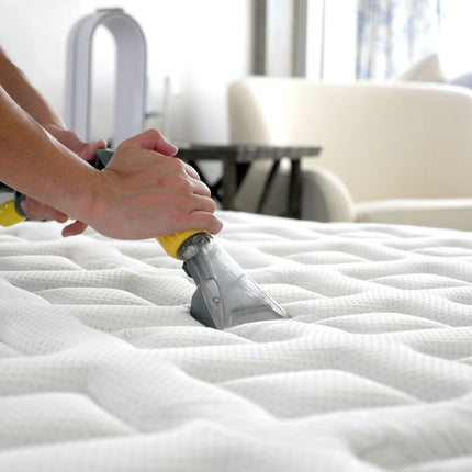 Clean, Steam and Protect Your Sofa, Curtains and Mattresses Pico X 