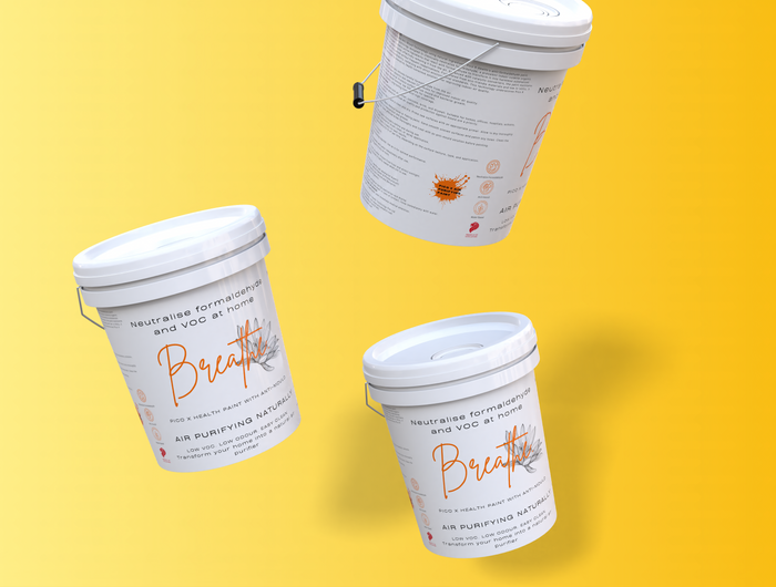 Anti-formaldehyde paint for home