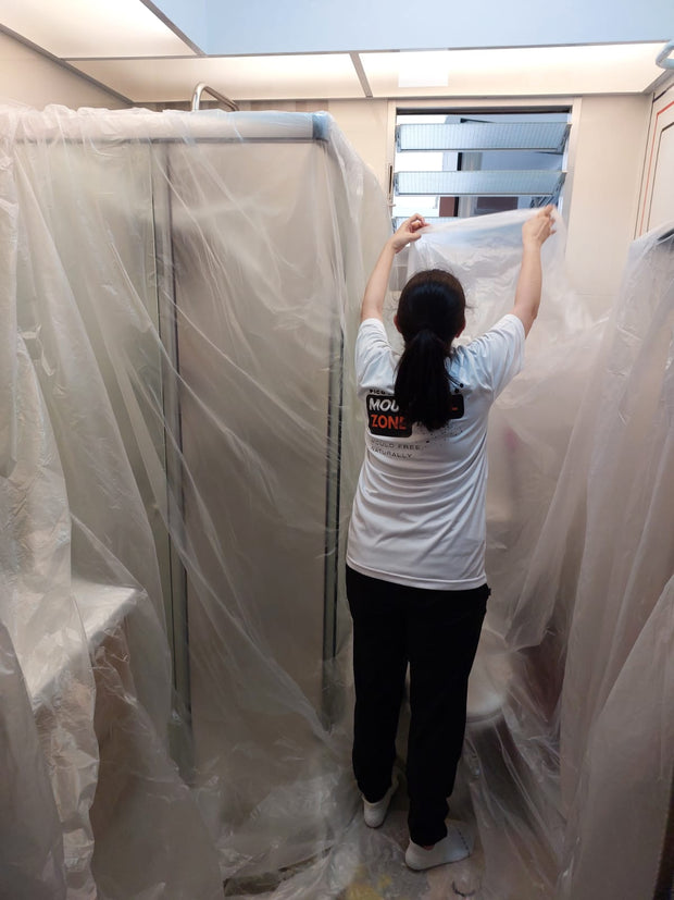 Pico X Mould Removal Service