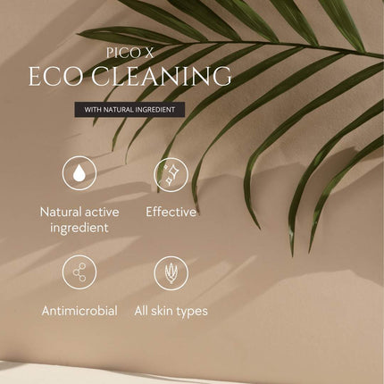 Pico X Cleaning service